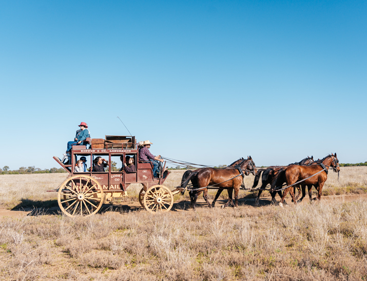 A horse drawn carriage galloping through the scrub with passengers on board